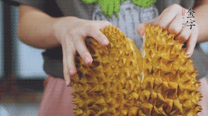 榴蓮剝好肉后，搗成泥狀。