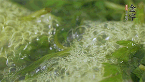 艾草葉放入煮沸的水中，加點食用堿，待變成深綠色時撈出，放入冰水中，瀝干備用。