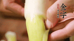 茭白剝去外殼，先切片再切絲。