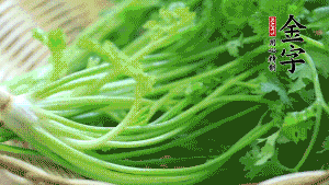 挑選鮮嫩的香菜，洗干凈后，處理成小段。