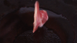 鍋中倒入橄欖油燒熱，放入淡火腿小火煸炒至打卷狀態(tài)。