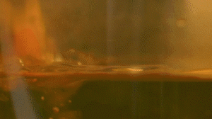 雞肉、鹽、料酒入冷水鍋水開后撇去浮沫，溫水洗凈。