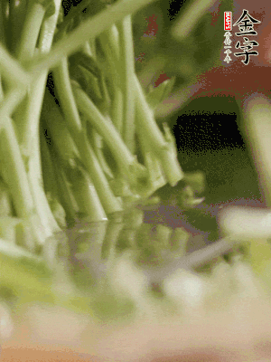 新鮮豌豆苗割下洗凈。